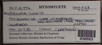 Image Associated With the Occurence